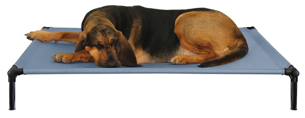 StarMark DogZone Bed