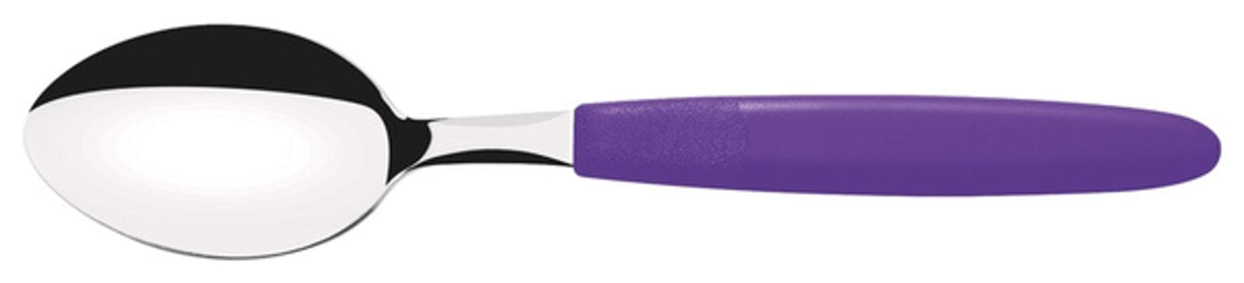 Tramontina Ipanema Table Spoon with Purple Polypropylene Handle