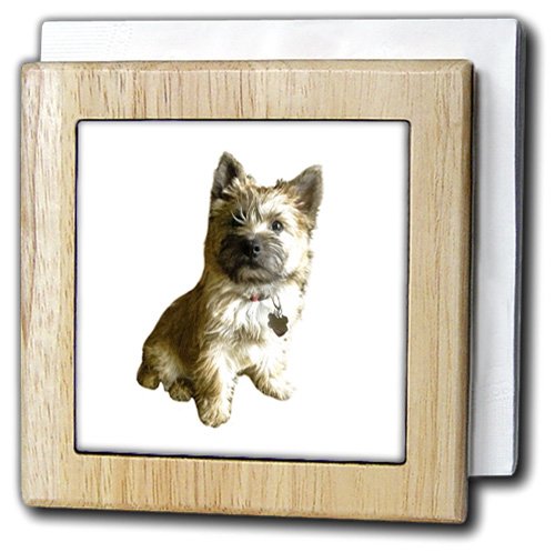 3dRose"The Cutest Cairn Terrier In The World Cuter Than Toto Wizard of oz" Tile Napkin Holder, 6", Natural