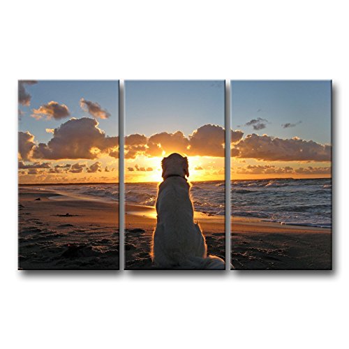 Dog Wall Art Golden Retriever Picture Labrador Dog and Sunset Pictures Prints On Canvas 3 Piece Painting for Modern Home Decoration