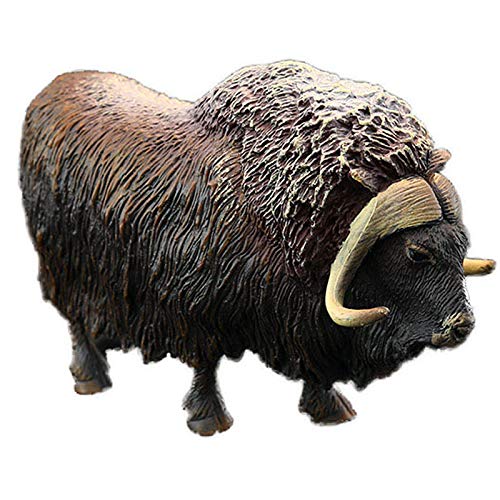 Animals Action Figure Wild Ovibos Moschatus Musk-ox Bulls Safari Zoo Educational Toys