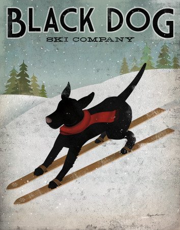 Black Dog Ski Animal Art Poster Print by Ryan Fowler, 22x28