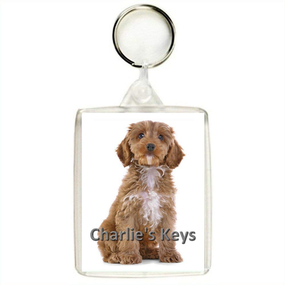 Key Expressions Personalised COCKAPOO DOG Keyring / Bag Tag - An Ideal Gift or Stocking Filler!