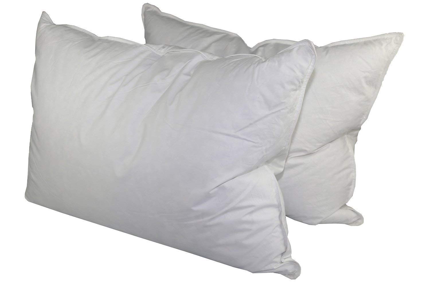 Down Dreams Classic King Pillow Set of 2