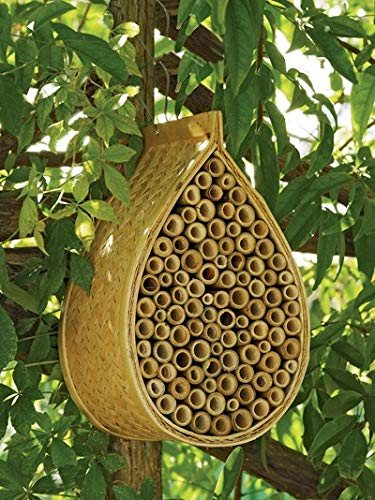 Gardener's Supply Company Mason Bee House