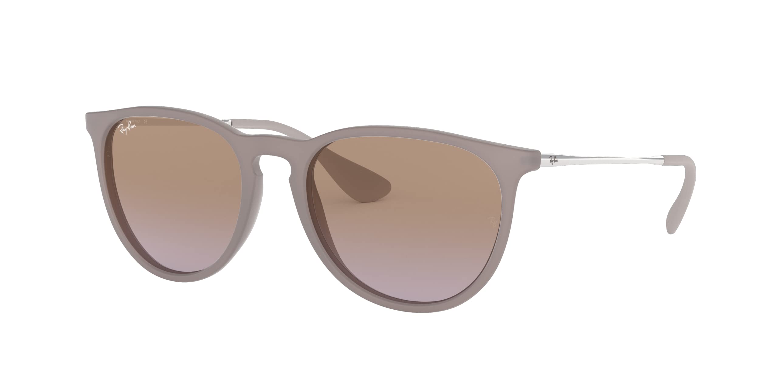 Ray-BanRB4171 Erika Round Sunglasses