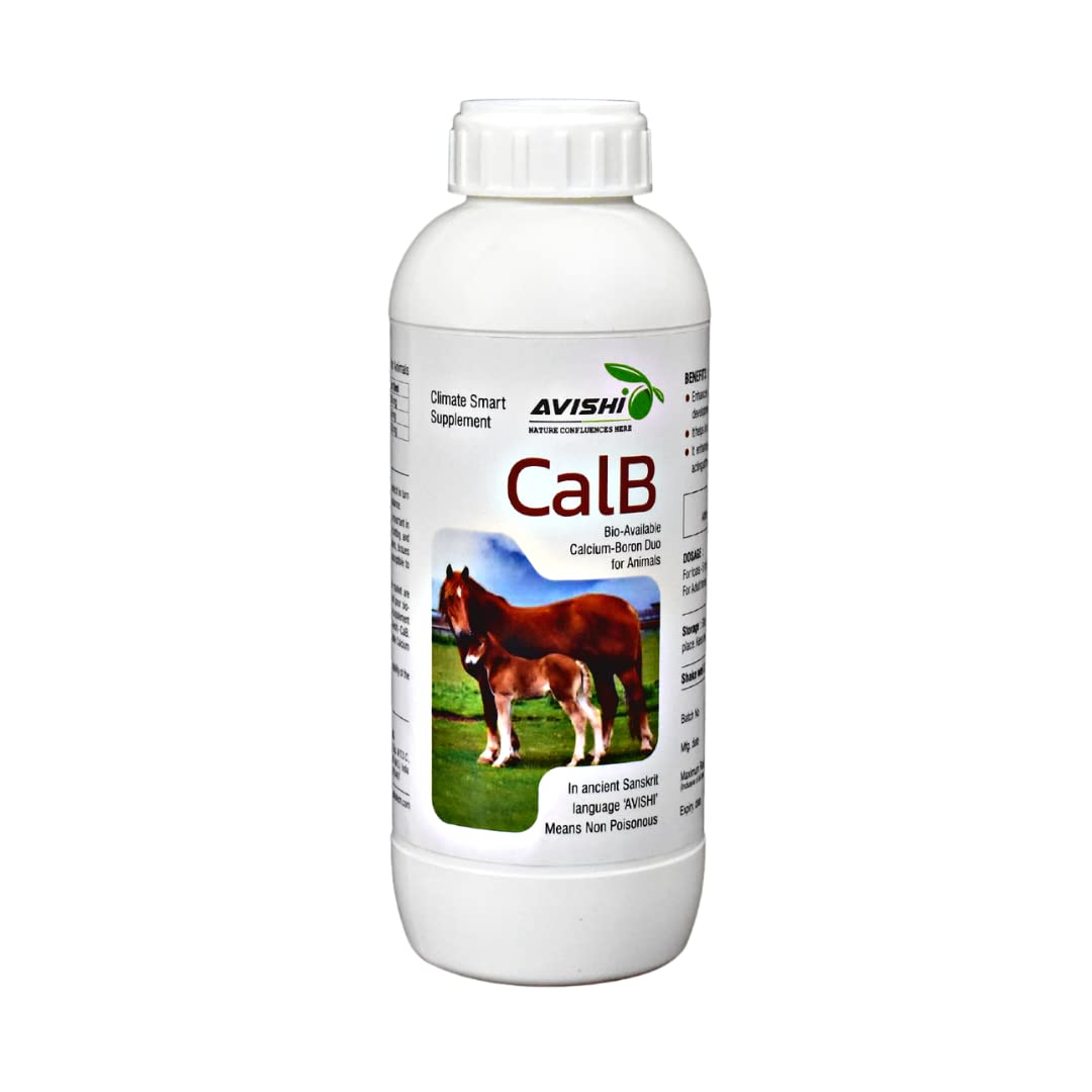 Avishi CalB (Calcium-Boron) for Horses (1 LTR.)