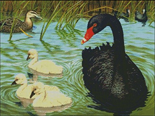 sweethomeBlack Swan Cross Stitch Kit,14ct 280x210stitch 62x48cm Counted Cross Stitch kits