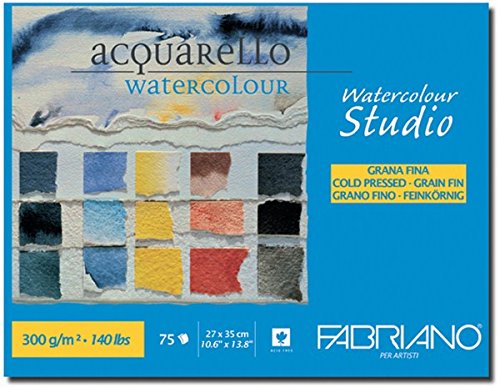 Fabriano Studio Watercolor Blocks CP 300 GSM 27 X 35 cm