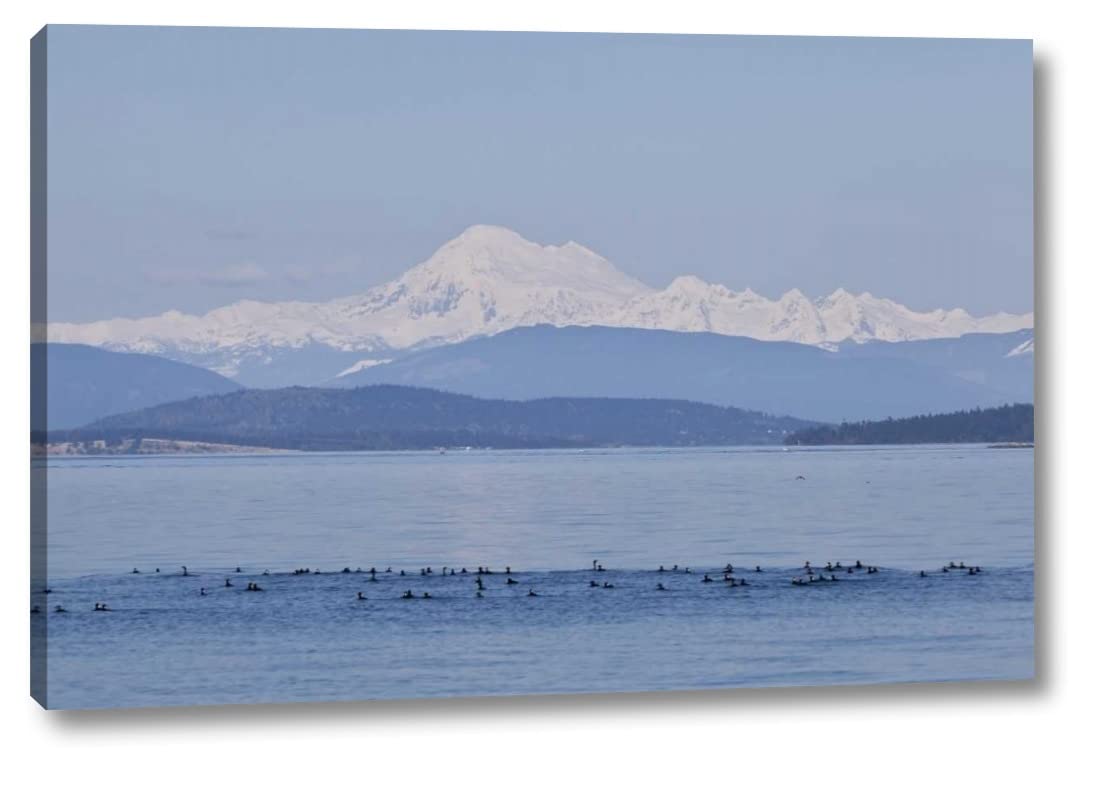 WA, San Juans Mt Baker seen from the San Juans by Don Paulson - 20" x 30" Canvas Art Print Gallery Wrapped - Ready to Hang