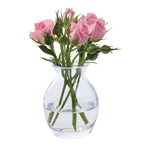 Dartington Crystal Flower Garden Bloom Vase, 7x7x9 cm