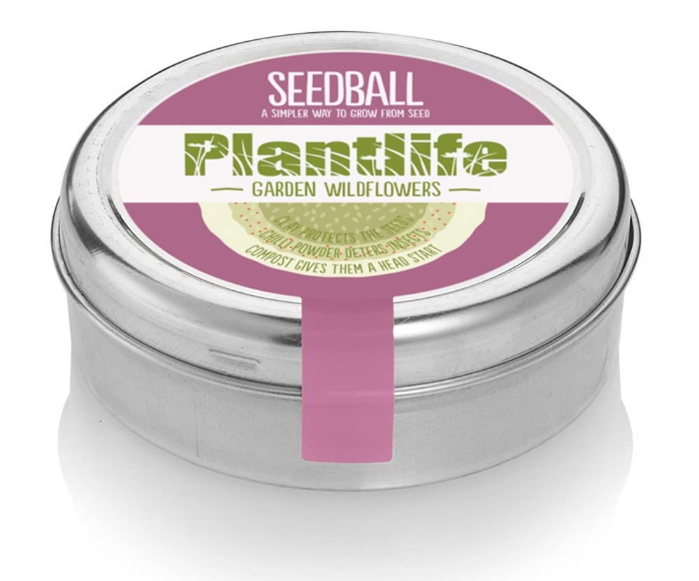 Seedball Plantlife Garden Wildflowers 20 Balls