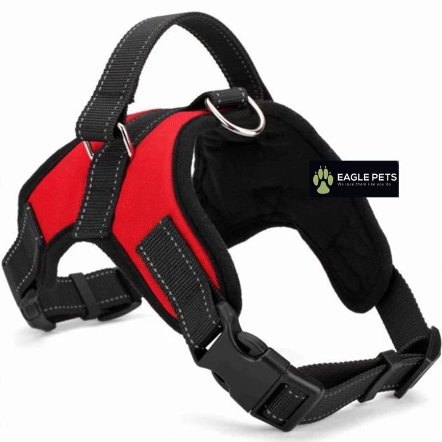 Eagle Pets No Pull Reflective Dog Harness, Breathable Adjustable Comfort, for Small Medium Large Dogs, Best for Training Walking Easy to Control. (Small, Red)