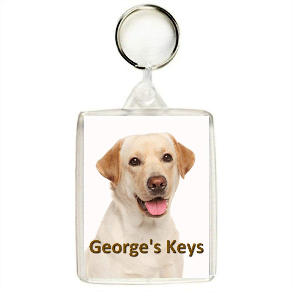 Key Expressions Personalised GOLDEN LABRADOR DOG Keyring / Bag Tag