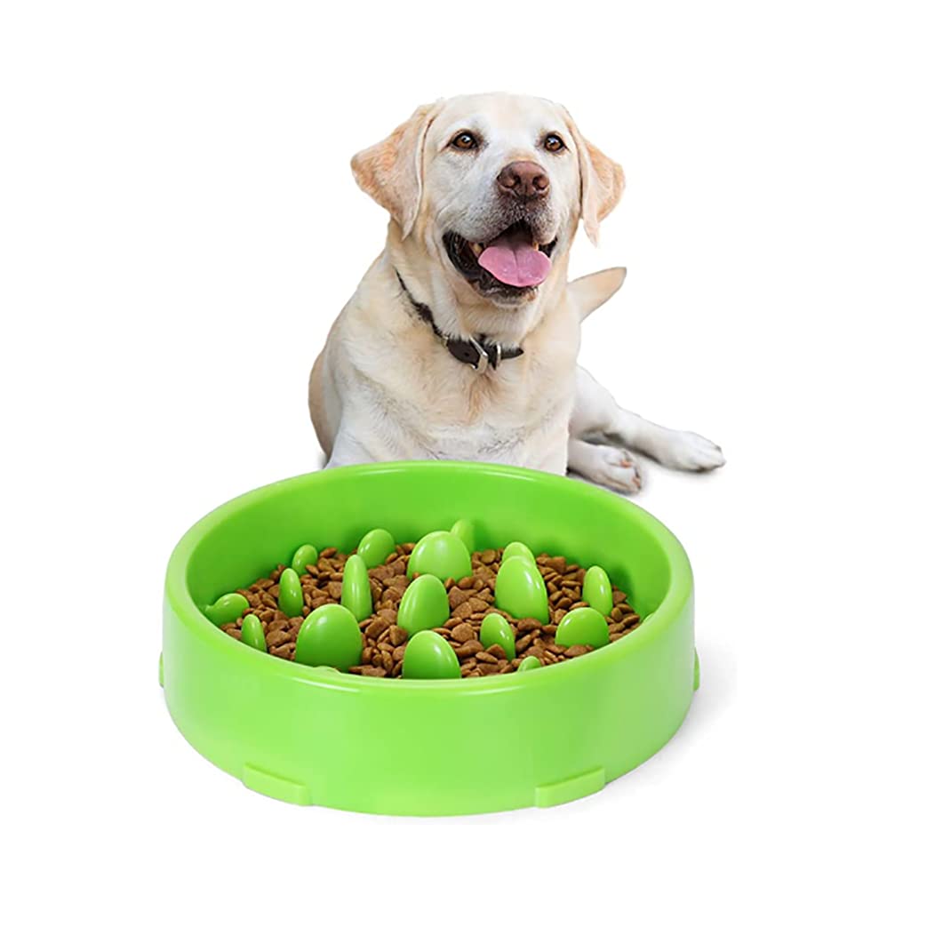 NANAO Slow Feeding Dog Bowl-Slow Food Dog Bowl-Interactive Feeder-Slow Feeding Dog and Cat Feeding Bowl-Pet Expansion Stop Dog Bowl (green)