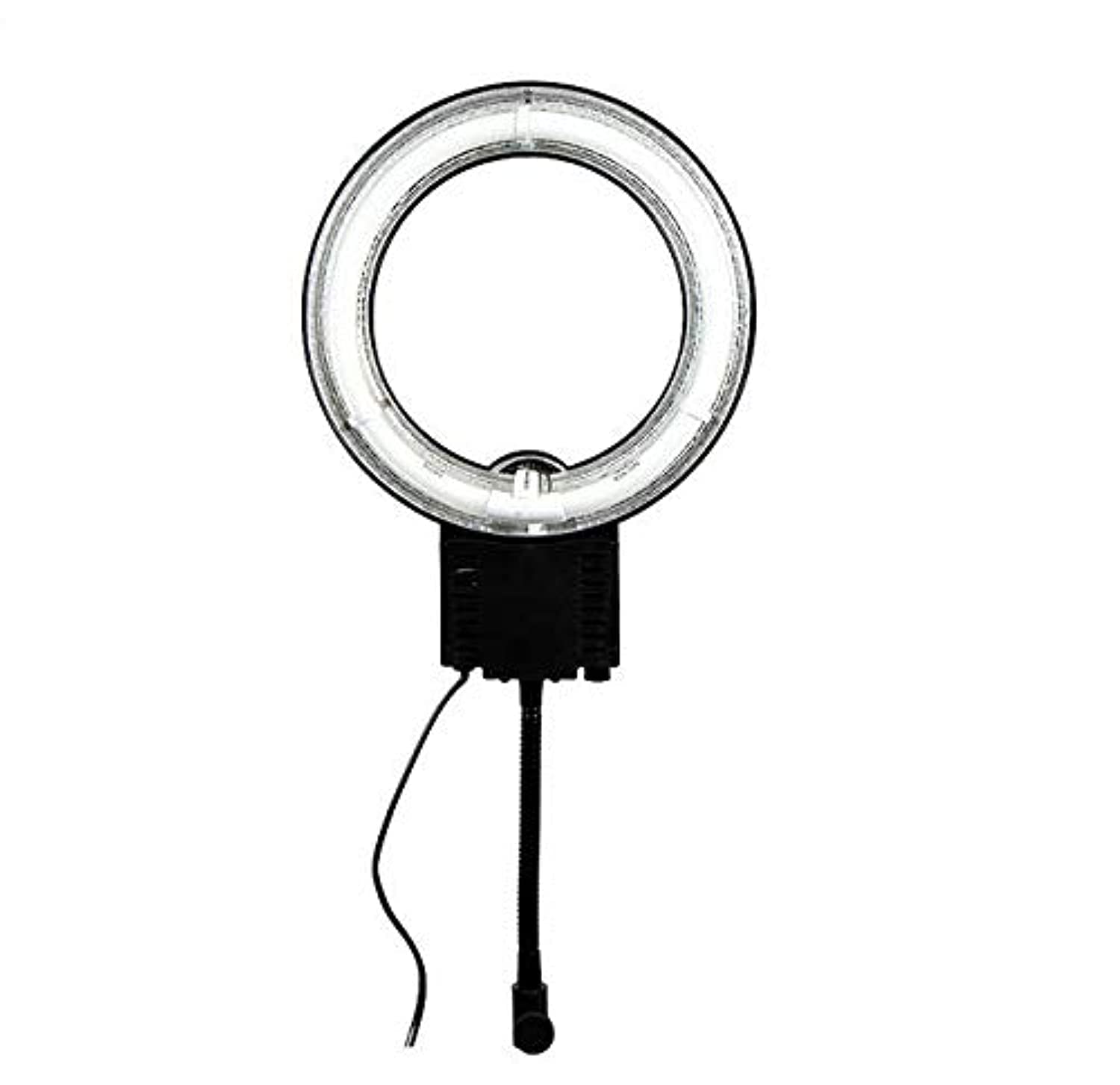 eWINNER Nanguang NG-28C NG 28C LED ring light shooting station set small accessories small objects shooting station filming plate