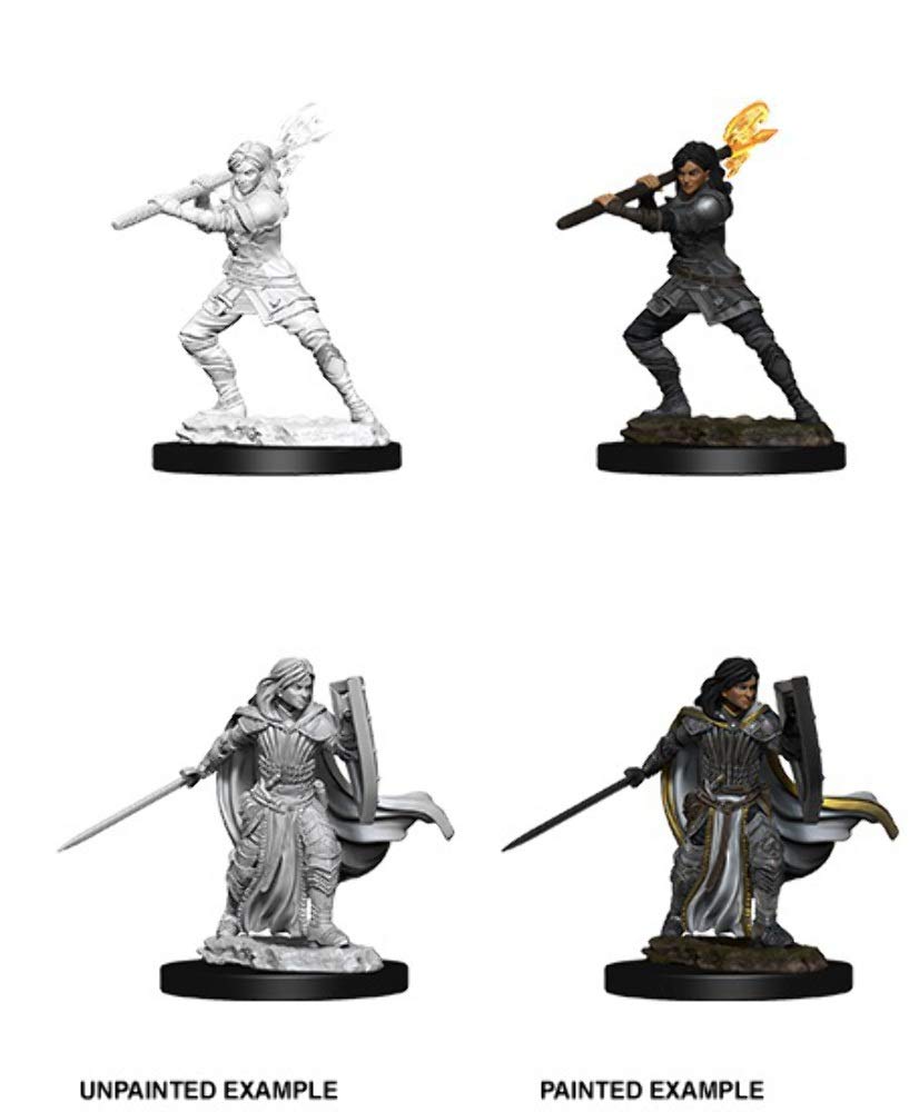 Nolzur's Marvelous Miniatures Wizkids - D&D Human Female Paladin - WZK73830