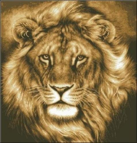 SWEET HOME Lion, the king,counted cross stitch, Egyptian long staple cotton thread, 14ct 209x219 stitch 50x50cm counted cross stitch kits