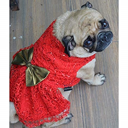 Kitty & The Woof Gang Purrfectly Chic Red Spider Net Dress for Pets! Stylish Gold Lycra Bow. Ideal for Parties, Weddings, Birthdays. for Dogs, Cats and Puppies! - XL-18 Inch