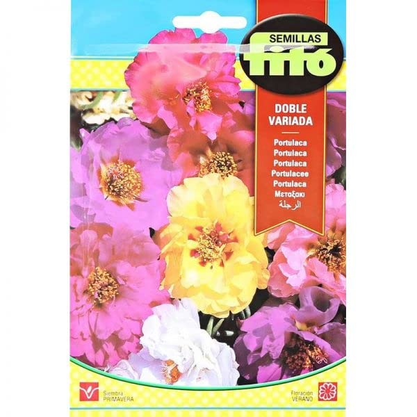 Portulaca Double Mix Premium Quality Seeds by Semillas Fitó"Garden Care"