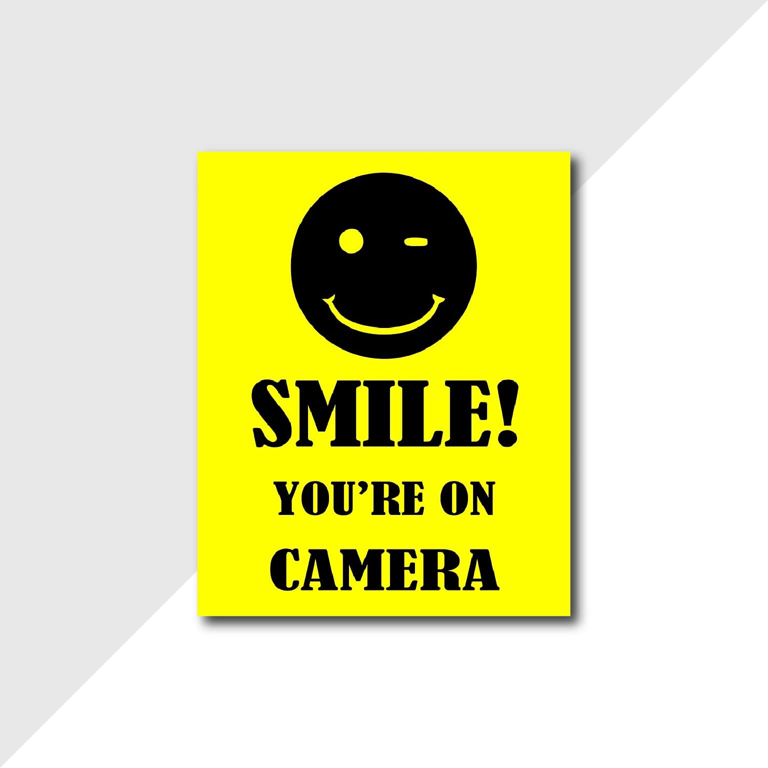 BIRD'S MIND You're On Camera Smile Sign Board For School Hospital Park Shops School Hospital Malls Garden Factory Signage Business Commercial Sign Board (L x H x 30 X 25 CM)