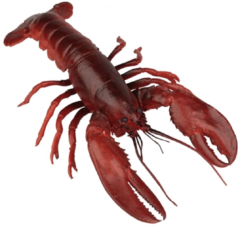 Ravensden Lifelike Rubber Lobster Toy 32 cm