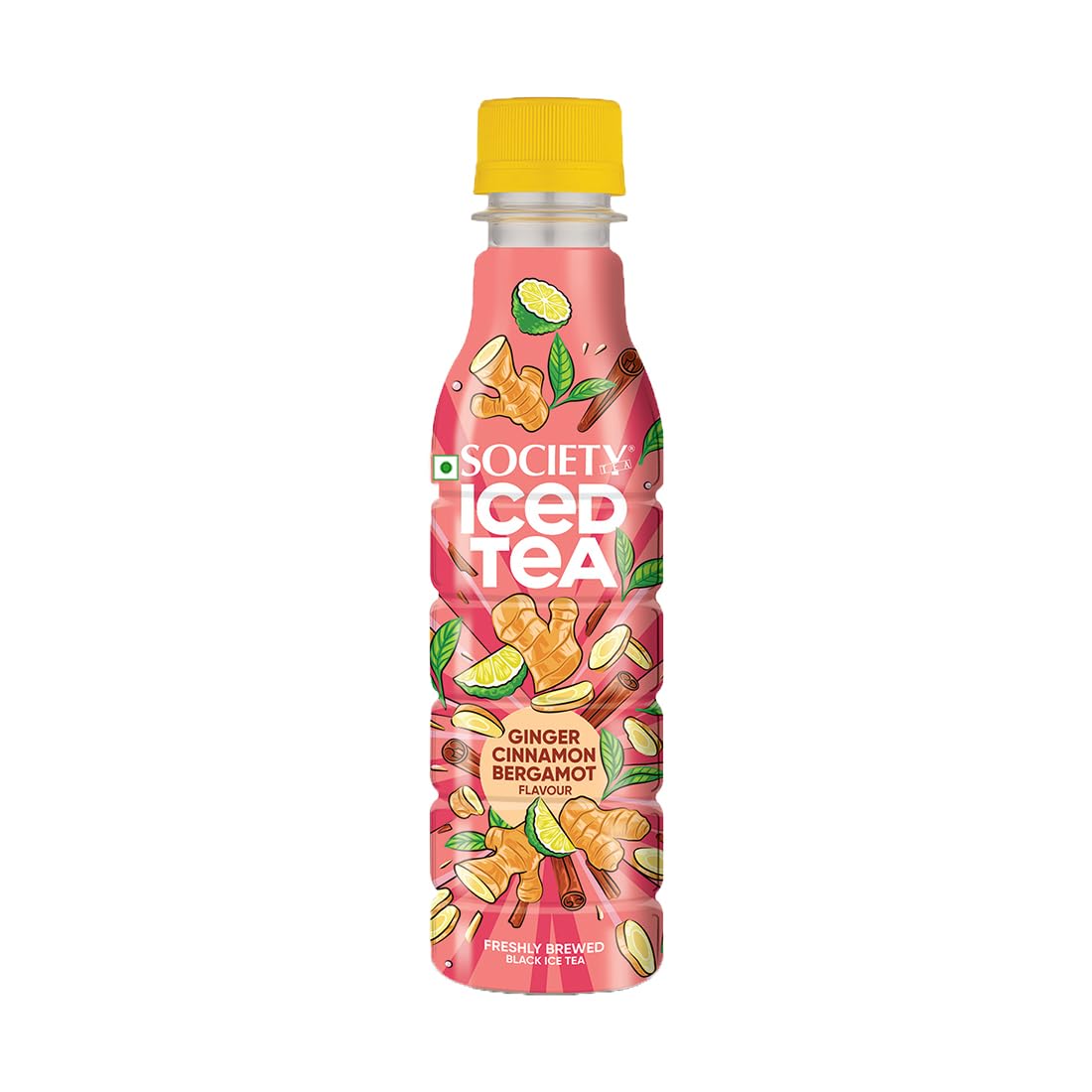 Society Iced Tea Bottle Ginger 250 ml