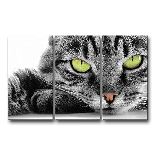 Cat Wall Art Painting 3 Piece Black and White Green Eye Cat Pictures Prints On Canvas Animal The Picture Decor Oil for Home Modern Decoration Print