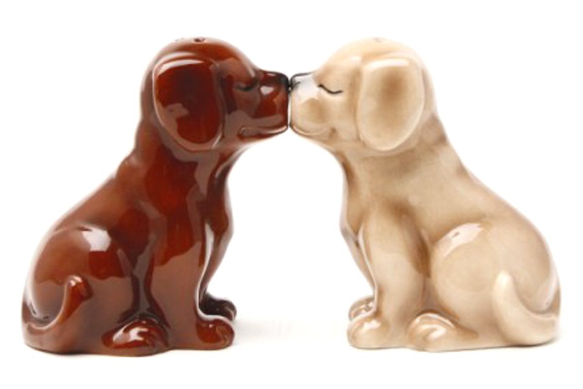 Pacific Giftware Labrador Puppies Magnetic Salt and Pepper Shakers Set, Blond/Chocolate