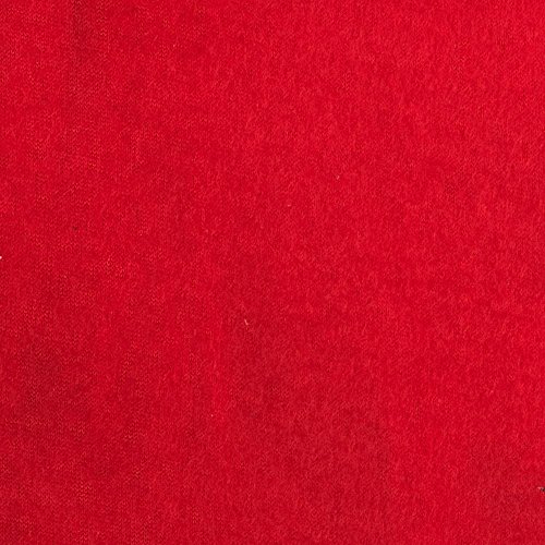 Fabric Merchants Red Warm Winter Fleece Solid, Yard