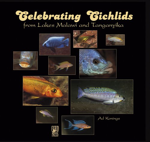 Celebrating Cichlids from Lakes Malawi and Tanganyika