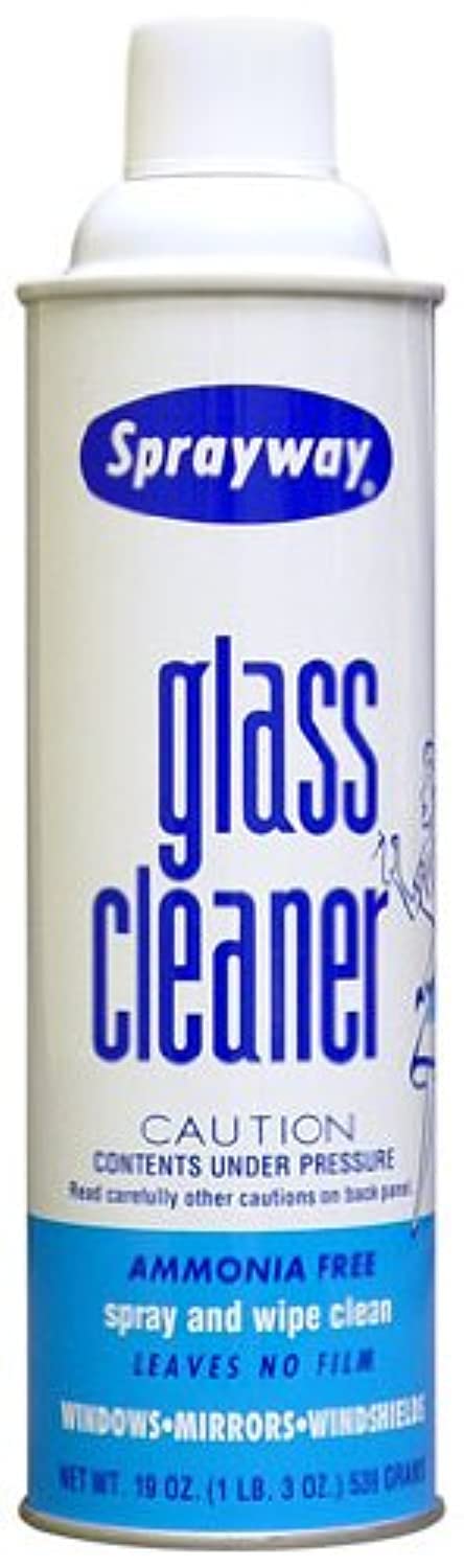 Sprayway Glass Cleaner 19 Oz 1 Pack (Packaging May Vary)