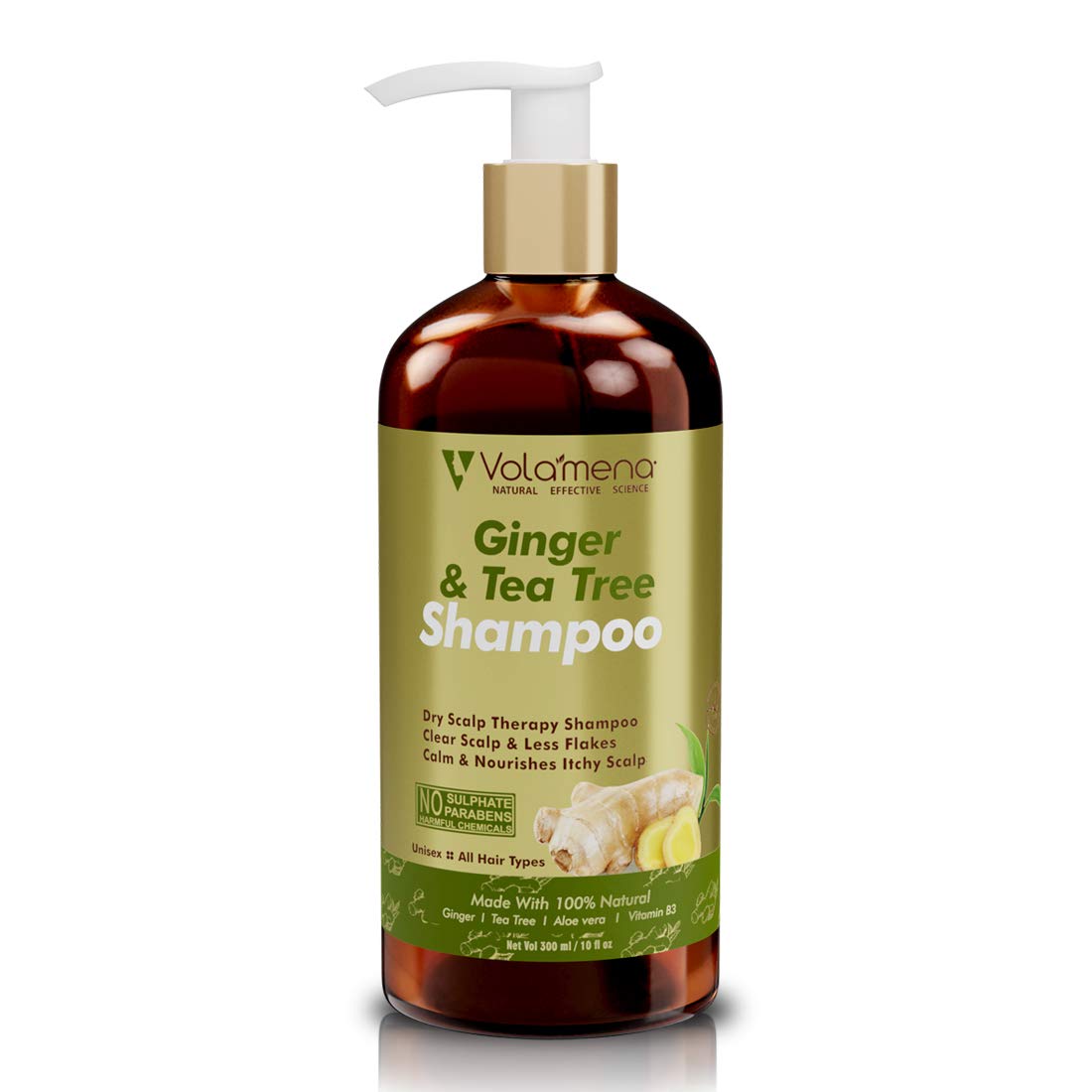 Volamena Ginger & Tea Tree Shampoo with Anti Dandruff Active Ingredients 300 ml 10 fm oz