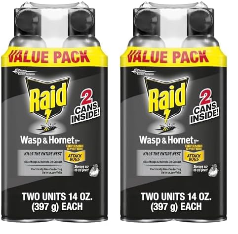 Raid Wasp & Hornet Killer Spray, Bug Killer Kills The Entire Nest for Insects 14 Oz, 2 Count (Pack of 2)