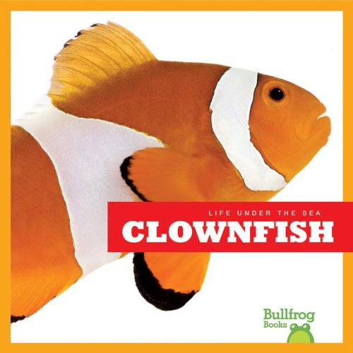 Clown Fish (Life Under the Sea)