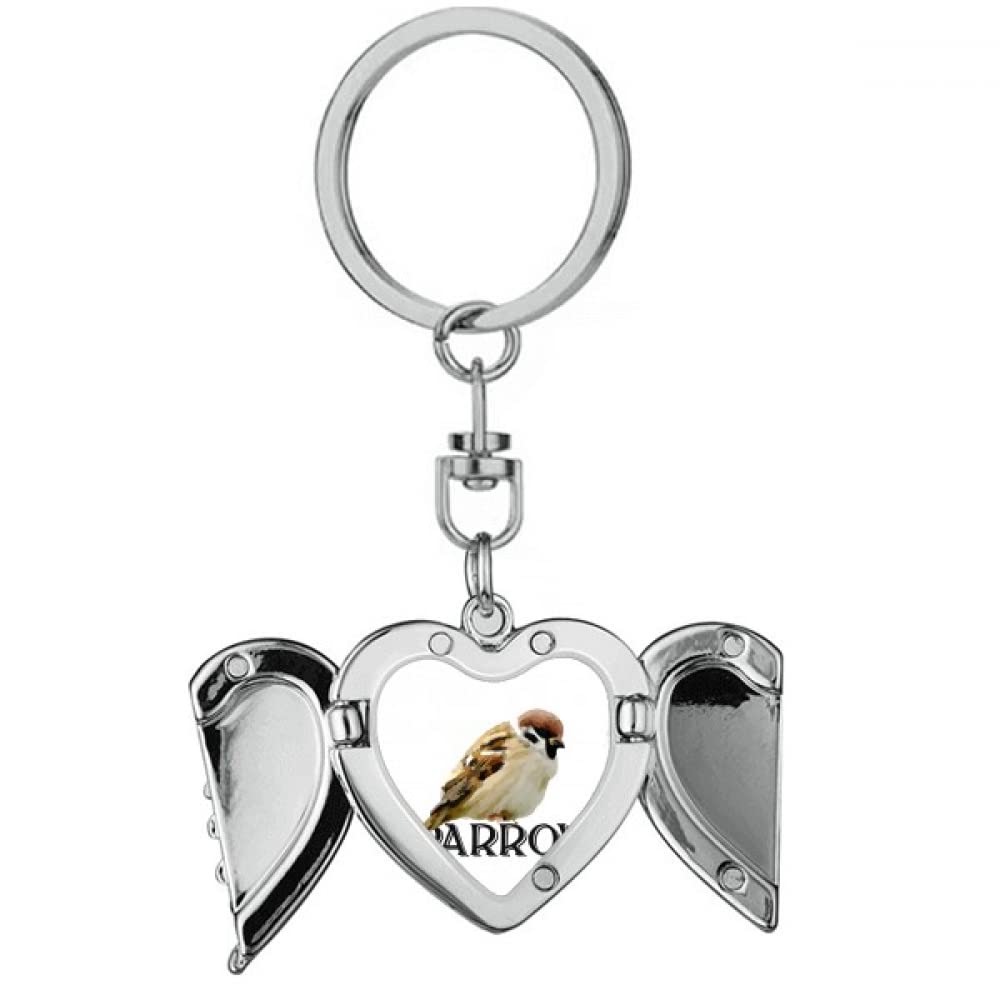 Food Sleep Sparrows Birds Heart Angel Wing Key Chain Holder