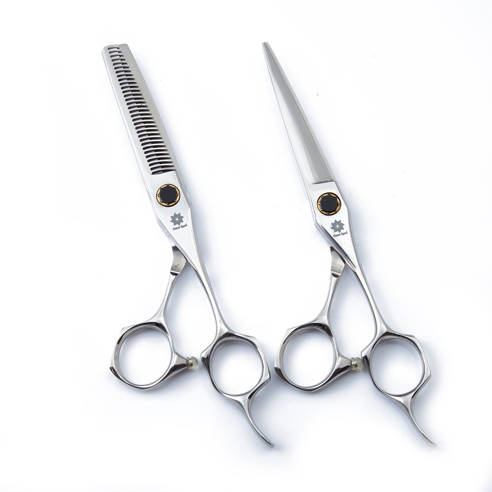 Dream Reach6'' Stainless Steel Hairdressing Scissors for Personal Professional Use with bearing bolt, 1 Straight Edge Hair Scissor, 1 Texturizing Thinning Shears - Set of 2 (set 1)