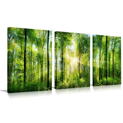 Forest Art Canvas Wall Decor: 3 Panel Nature Wall Art Landscape Paintings Framed Trees Green Pictures Sunrise Scenery Wall Decor for Living Room Bedroom Office Bathroom 12 x 16 Inch