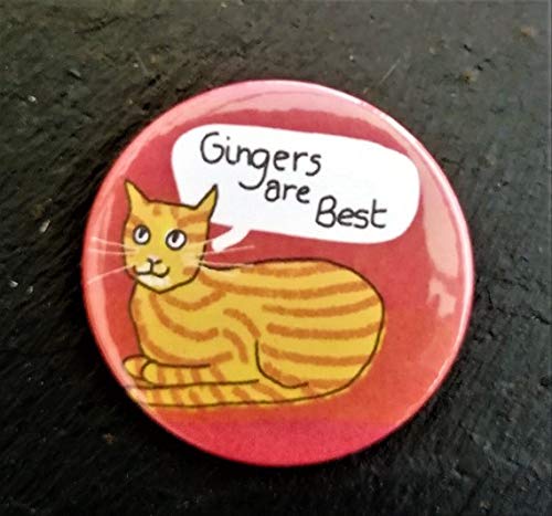 Ginger cat badge tabby cat pinback button badge pin badges cat 45mm