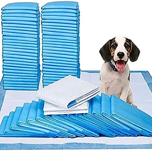 RvPaws Training Pads, Drying Surface and Absorbent Core Suitable for Small and Large Breed Puppy 90x60cm -10 Pcs