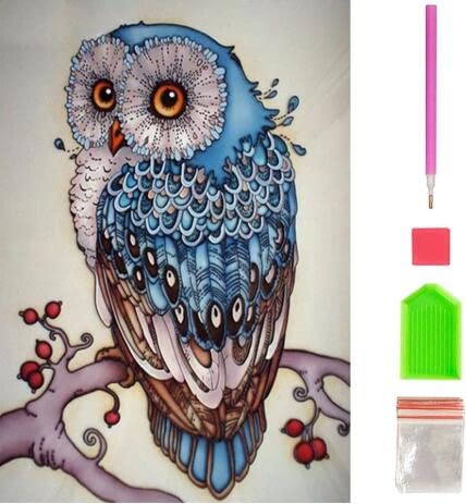 YWKJDDM Diamond Art Kits for Adults, DIY Diamond Painting Set 5D Full Drill Rhinestone Painted Owl for Home Wall Decor (30 x 40 cm)