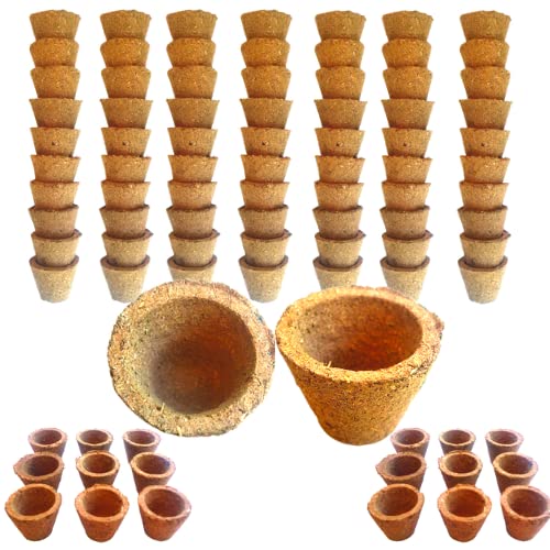 Gaumayam Empty Cowdung Cups Panchgavya Dhuni Cups 90 pcs Suitable for Natural Your Choice Filling as Sambrani/Loban/Guggal/Camphor/Hawan samagri mega 3 Month Pack -l