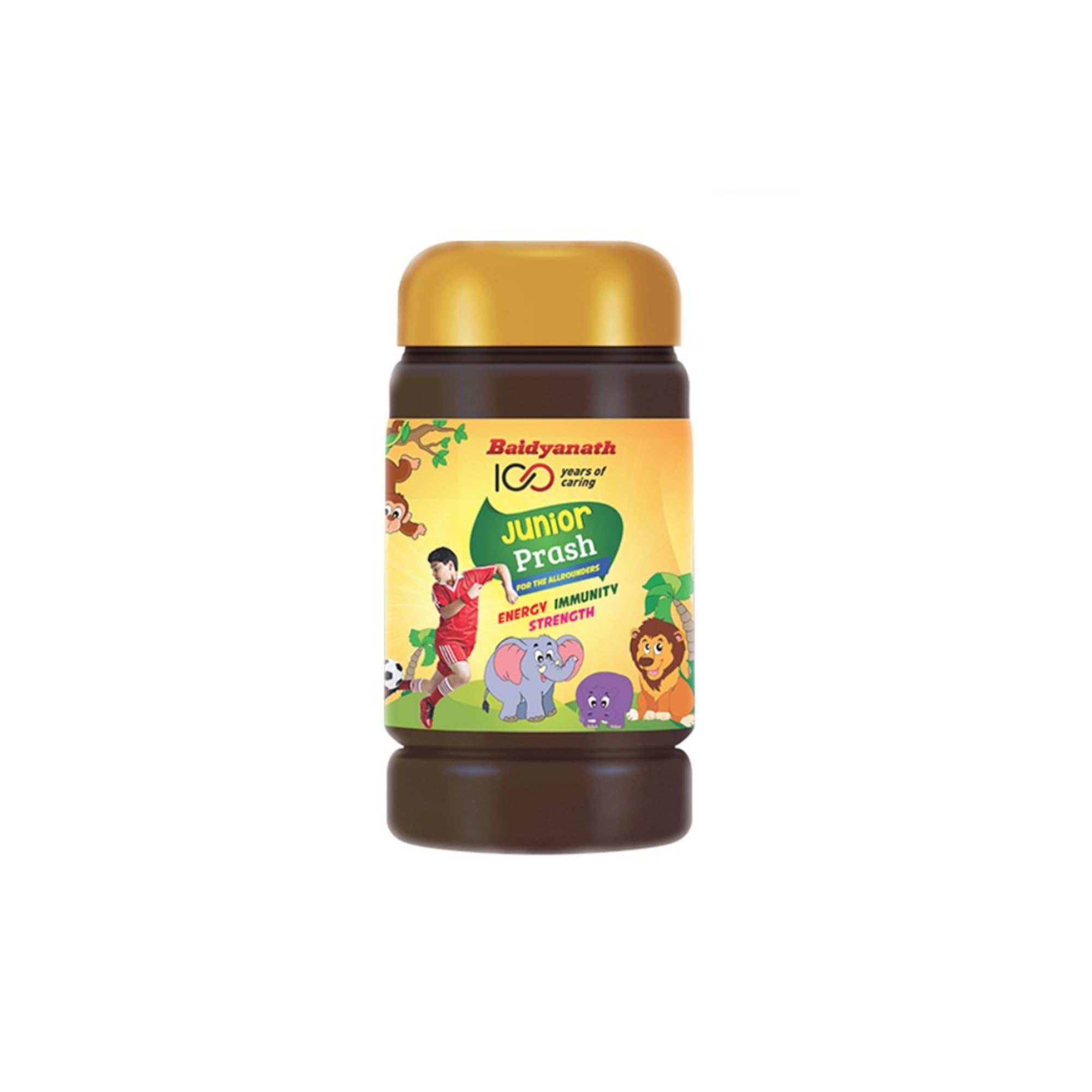 Baidyanath Junior Prash - 500g, Specially Formulated Chyawanprash for Kids