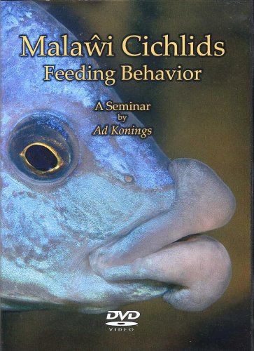 Malawi Cichlids Feeding Behavior, A Seminar by Ad Konings