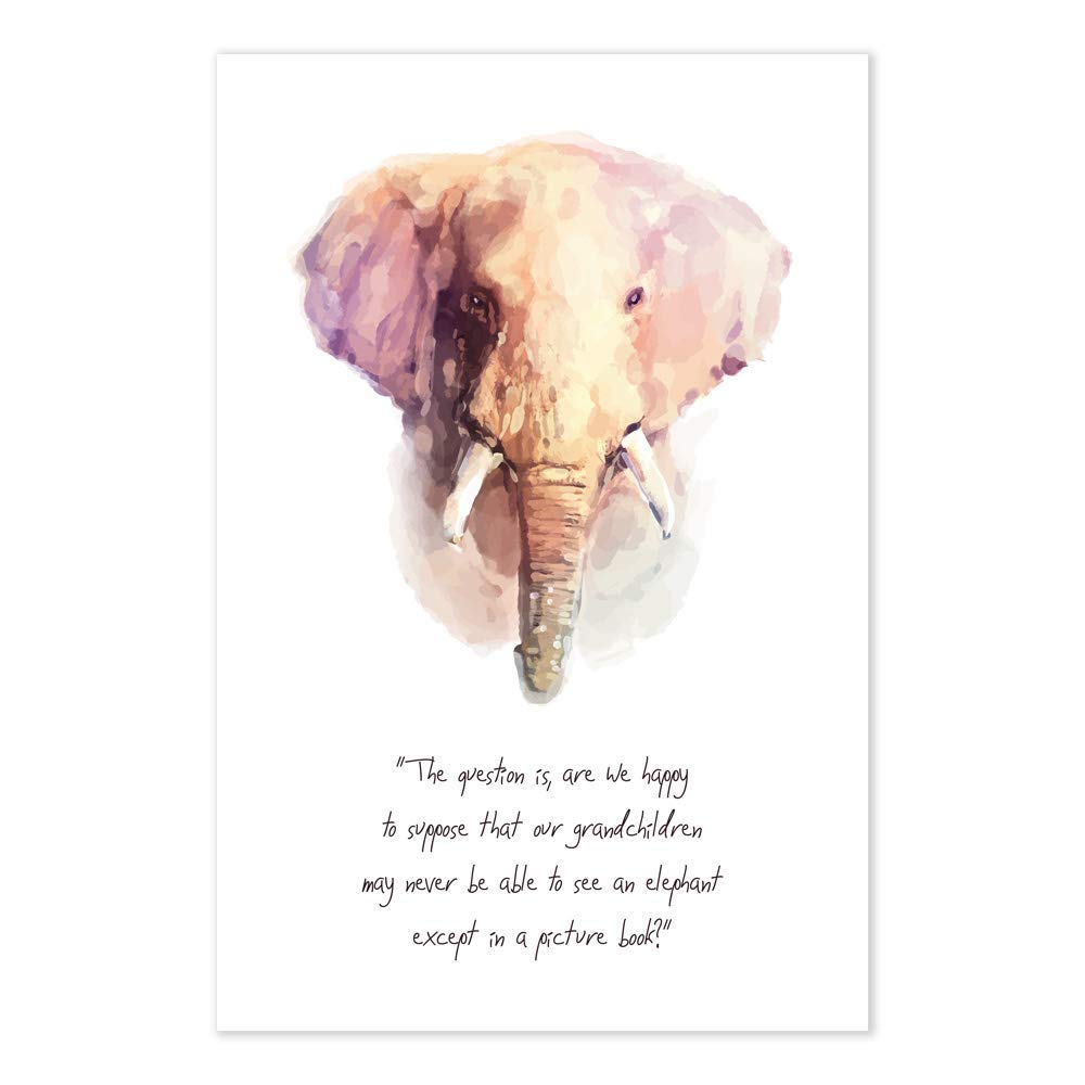 David Attenborough Elephant Conservation Quote Poster