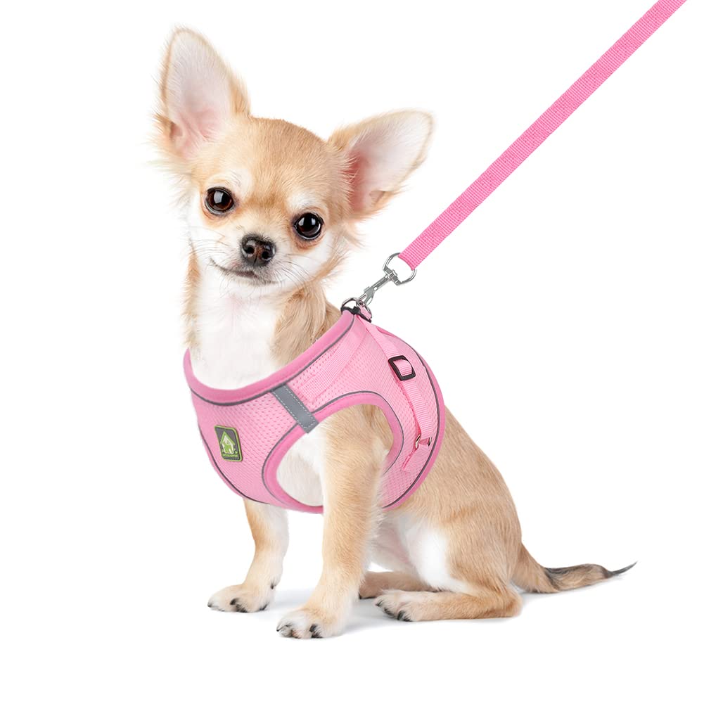 FEimaX Dog Harness and Leash Set, No Pull Soft Mesh Reflective Escape Proof Small Dog Cat Vest Adjustable Pet Outdoor Harnesses for Puppy Kitten Rabbit