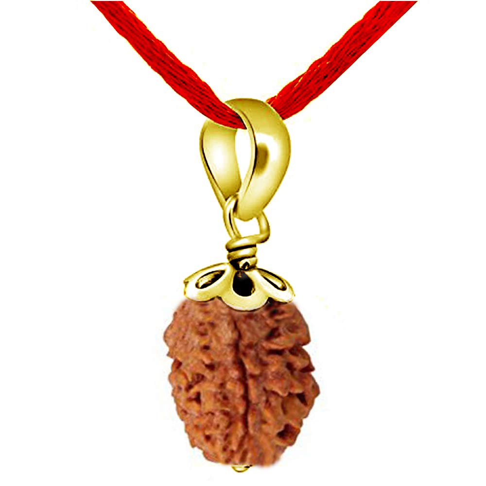 GemsOnClick Choose Your Natural Certified Nepali Rudraksha 1 to 13 Mukhi Faced Panch Dhatu Bead Pendant