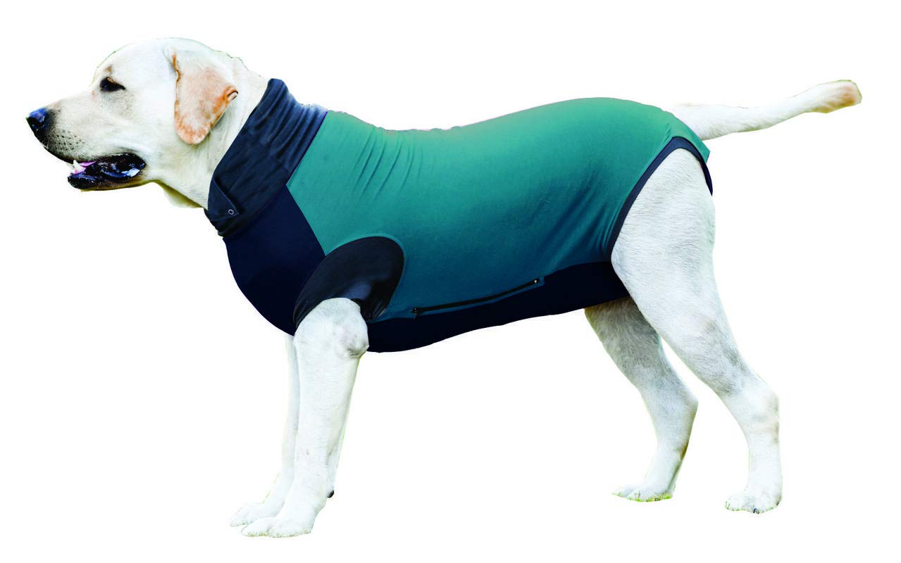 MAXX Surgery Suit For Dogs: Post Surgery Pet Clothing, Medical Pet Clothing, Surgical Recovery Suits For Dogs | E Collar Alternative For Dogs Neuter, Post Surgery