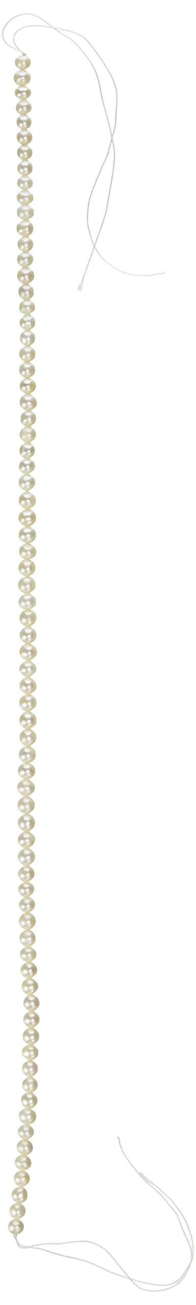 White Freshwater Cultured Pearl Round Strand 5.5mm-6mm