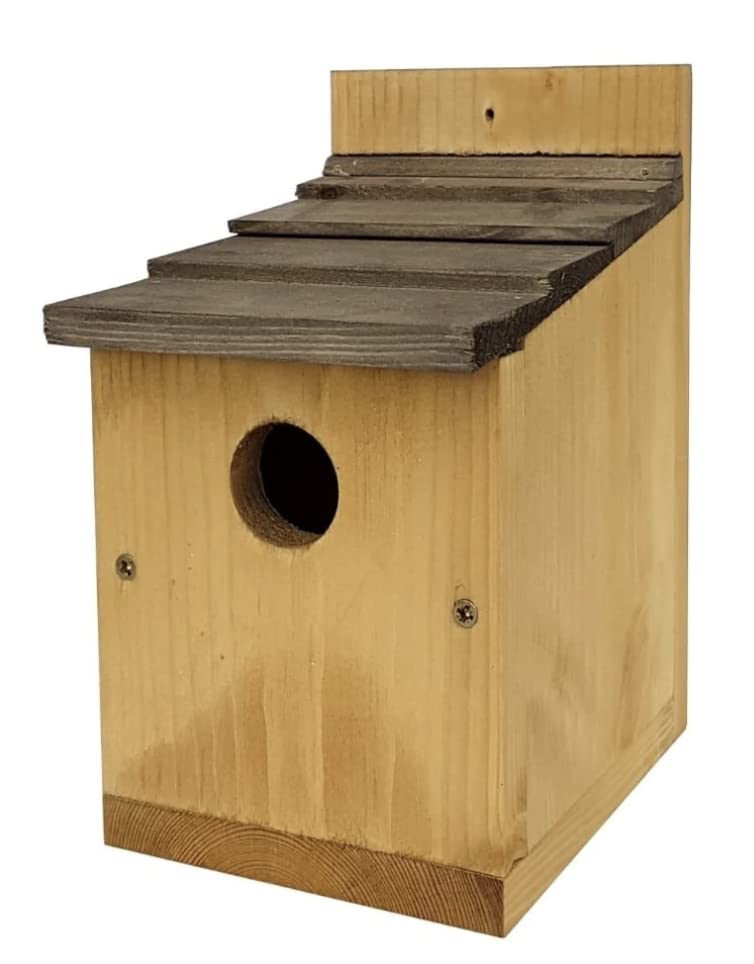 Classic Nest Box with Shingles x 1 Wooden Wild Bird House SMF